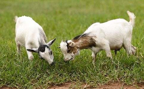 ���š���ɽ�򲻳����ò��и�