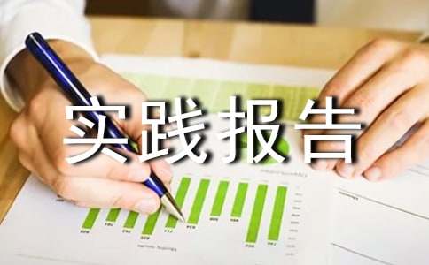 (优秀)社会实践报告