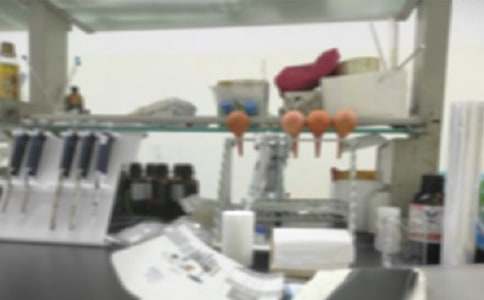 实验室年度计划