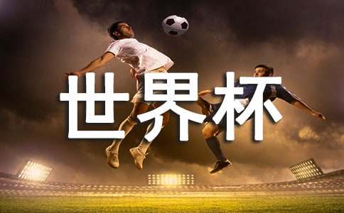 ���籭�ۺ��