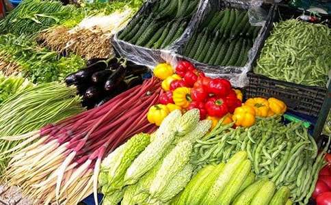 �����߲�Сѧ���Ľ�����ƪ