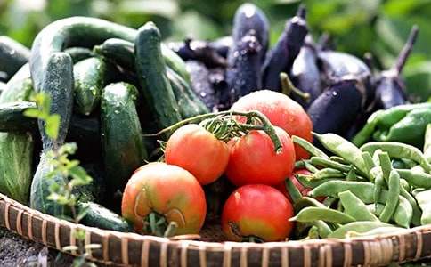 小班健康蔬菜宝宝营养多教案