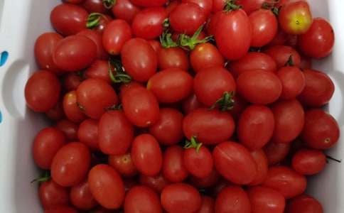 �Ұ��Ե�ˮ���̰�����5ƪ