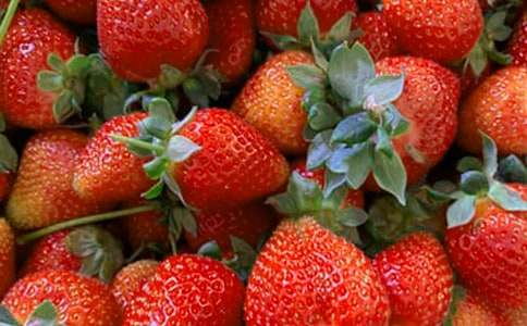 小班健康酸甜可口的水果教案