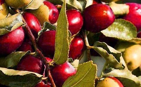 ����ˮ�������̰�