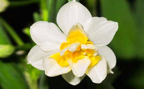 ����ˮ�ɻ��۲��ռǼ���ʮƪ