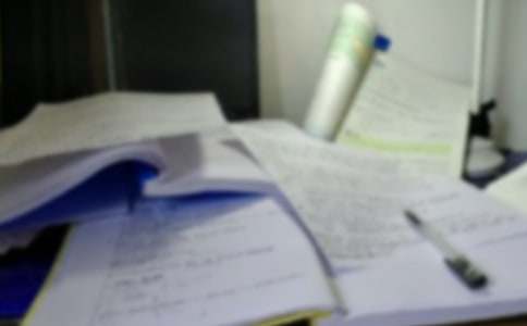 《笋芽儿》说课稿