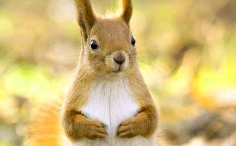 ��С�����һ������̰�(����15ƪ)