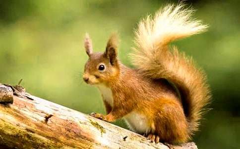 С�����һ������Ľ̰�