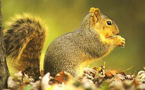 �������ռǡ��̰�_�ռ�