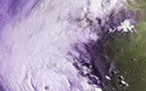 台风小学作文15篇