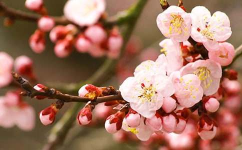 �������һ�ˮ���̰�����ѡ11ƪ��