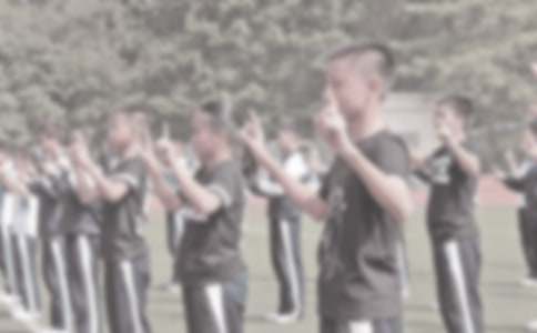 ��ѡ������ѧ�����ƻ����4ƪ