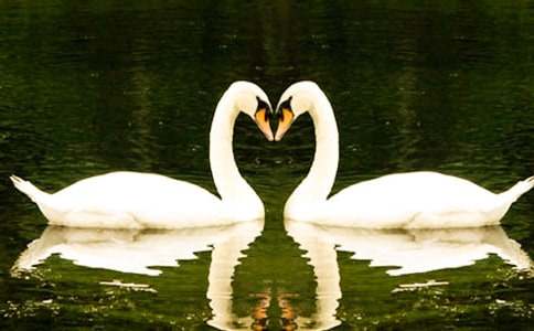 �����Ĺ��¡��̰����Ļ����ƪ