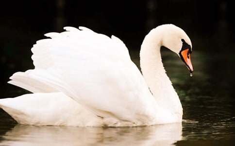 Ұ���������ѡ��15ƪ��