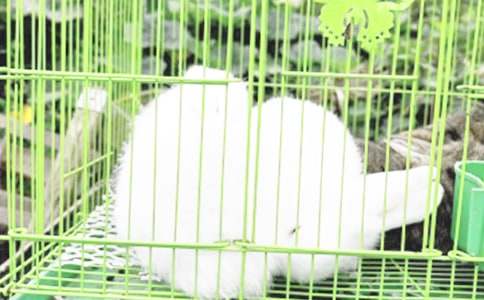 �������ϵ۶����