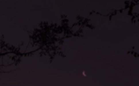 2026��򵥵���ܰ����������Ȧ�ʺ���43��