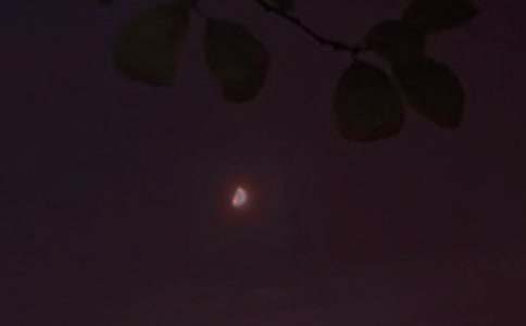 2026��򵥵���������Ȧ�ʺ���󼯺�76��