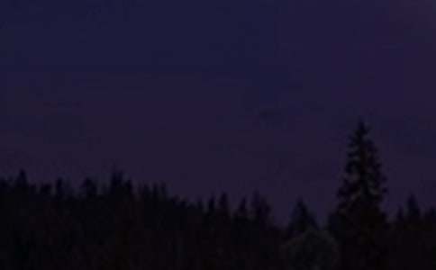 2025�������������ʺ�����¼�ϼ�47��