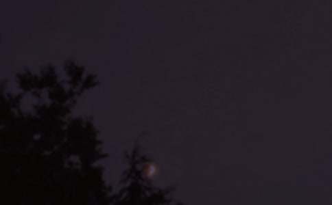 �����š�2026������ϵ��������Ȧ�ʺ���ϼ�78��