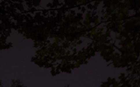 【热门】2026年优美的晚安问候语短信40条