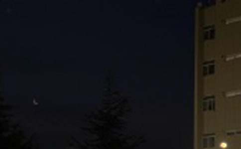 2026��ʵ�õ�Ψ���������ʺ�����¼���54��