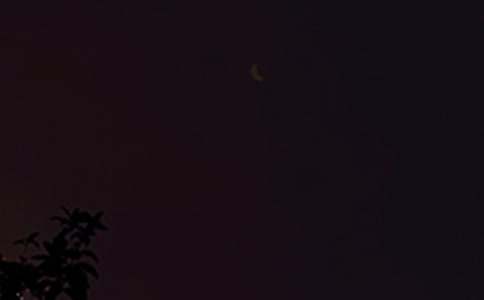 2026年简洁的优美的晚安问候语短信集锦79句