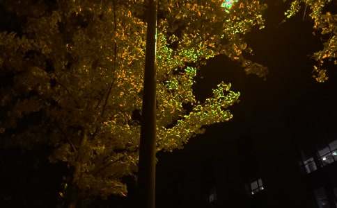 经典朋友圈晚安祝福语(通用110句)