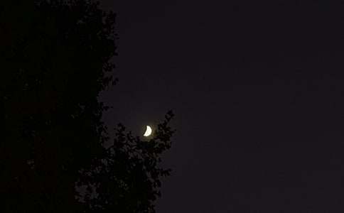 2024�꾭�����õ������ʺ�����ż���46��