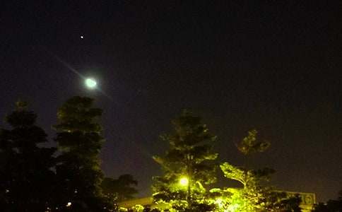 关于个性晚安祝福语汇总(通用190句)