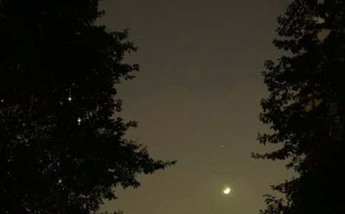 2026年精选治愈系晚安问候语短信29条