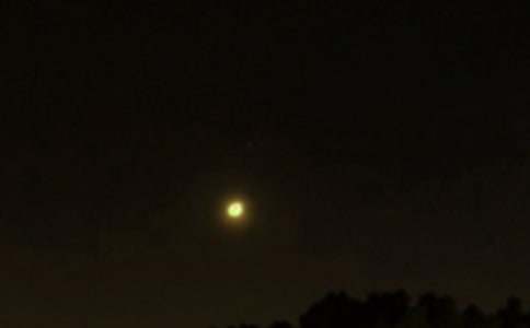 2026���������������΢���ʺ���ժ¼55��