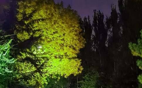 �򵥵����õ������ʺ�����¼ժ¼53��