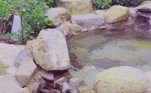 ����ȪСѧ����(���15ƪ)