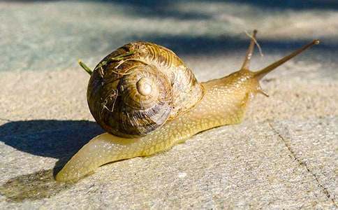 �۲���ţ�ռ�