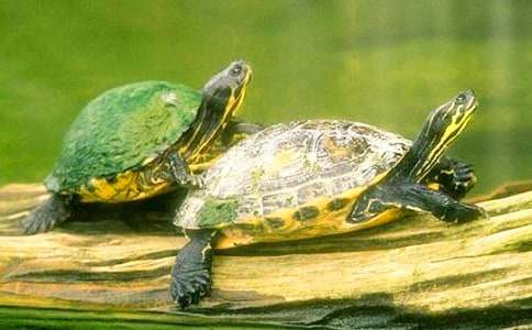 ���ڹ�Ҳ�������ۺ�з���