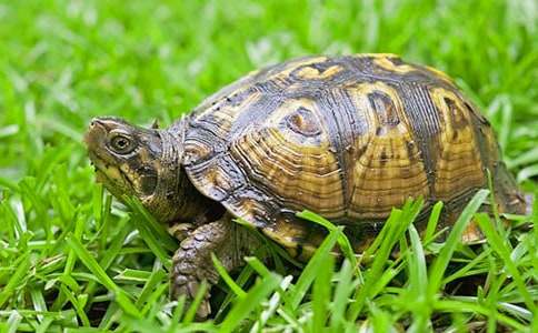 ���ų�����ζ�����ڹ�����(15ƪ)