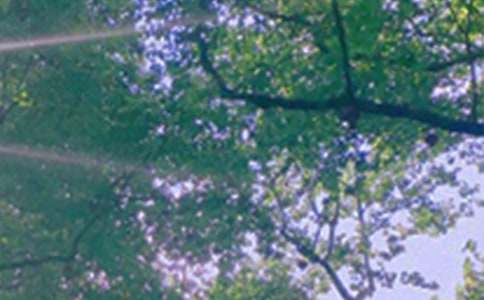 2026年治愈系午安问候语短信大汇总71条