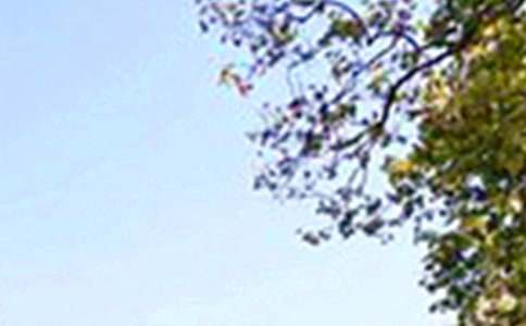 治愈午安祝福语(精选80句)