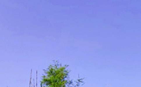 ����ϵ�簲�ʺ��Ｏ��46��