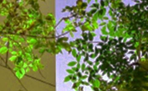 关于温馨午安问候语汇总(精选70句)