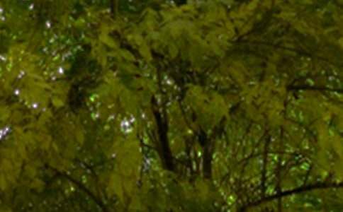 2026������ϵ�簲�ʺ�������52��