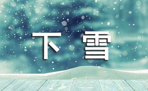 【必备】下雪了小学作文三篇