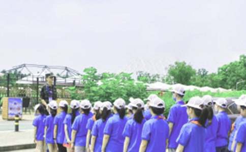 ����Ӫ�ռǻ���9ƪ