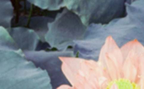 ����ף�����ͼ��˵�