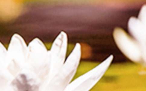 夏至到中班教案(通用5篇)