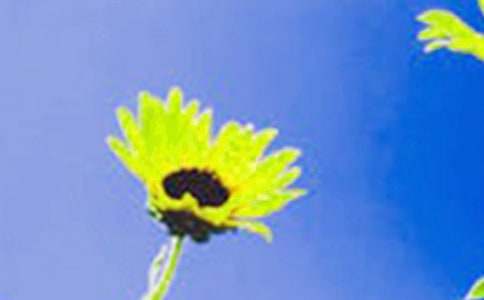 ������������տ����̰�