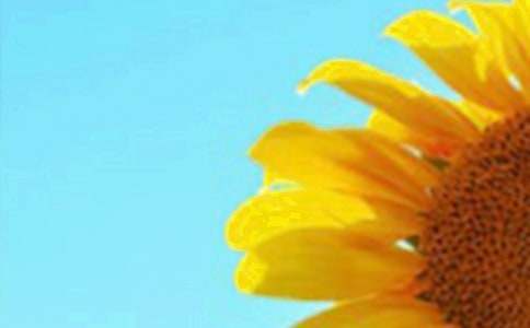 �������տ��������ĺϼ���ƪ