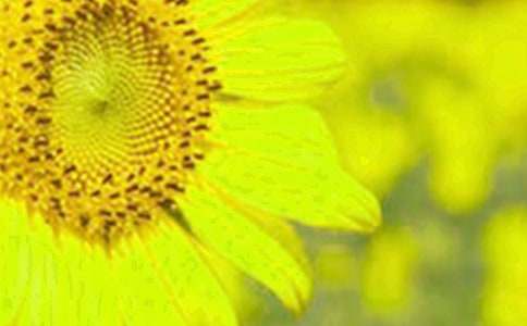 �������տ��������Ļ���8ƪ