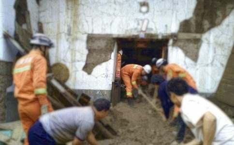 ������ȫ�ջ�ܽ�(����15ƪ)